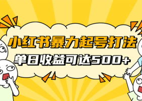 小红书暴力起号秘籍 11月最新玩法 单天变现500+ 素人冷启动自媒体创业
